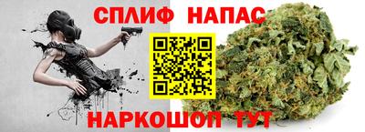 молекула духа Донской