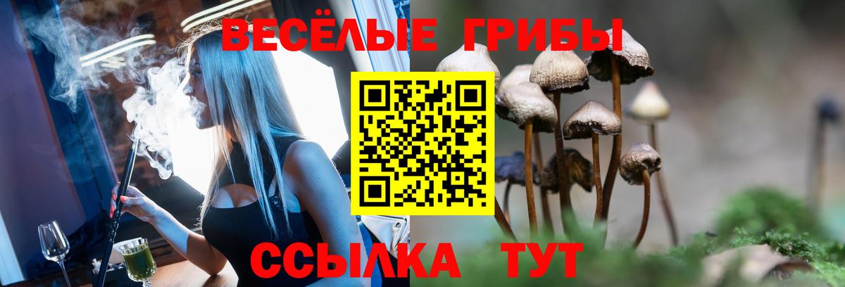 Псилоцибиновые грибы GOLDEN TEACHER Мытищи