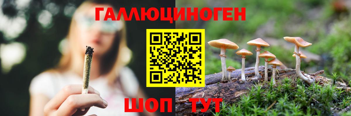 Мытищи  Псилоцибиновые грибы GOLDEN TEACHER  Галлюциногенные грибы Psilocybe  Вход с VPN 
